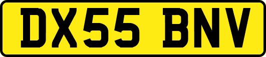DX55BNV