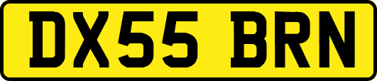 DX55BRN