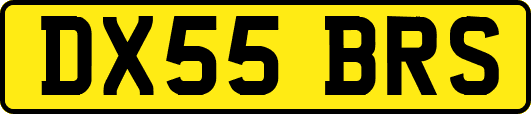 DX55BRS