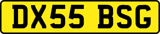 DX55BSG