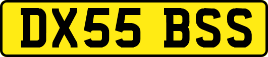 DX55BSS