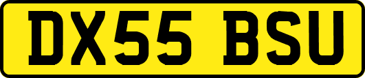 DX55BSU