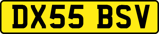 DX55BSV