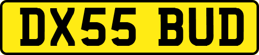 DX55BUD