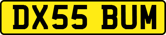 DX55BUM