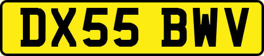 DX55BWV