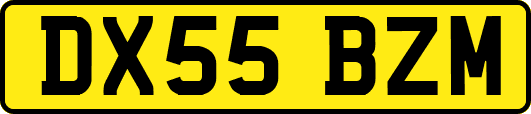DX55BZM
