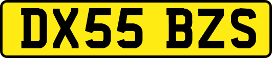 DX55BZS