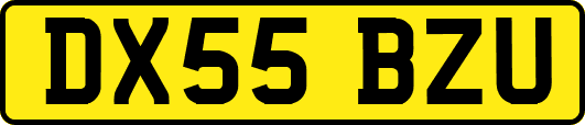 DX55BZU