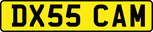 DX55CAM