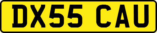 DX55CAU