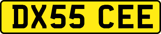 DX55CEE