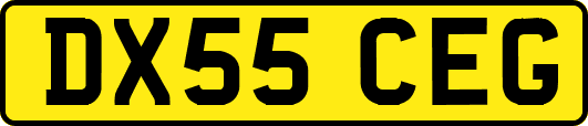 DX55CEG
