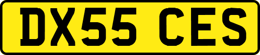 DX55CES