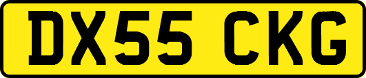 DX55CKG