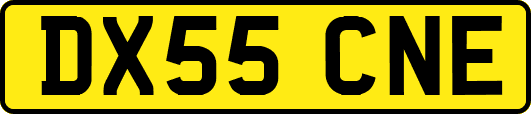 DX55CNE