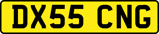 DX55CNG