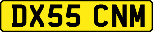 DX55CNM