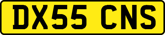 DX55CNS