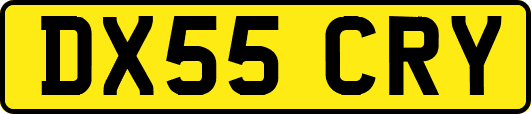 DX55CRY