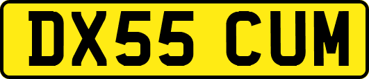 DX55CUM