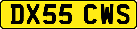 DX55CWS