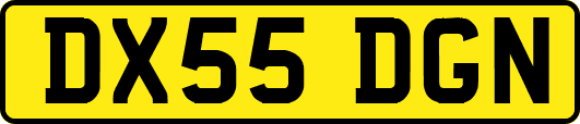 DX55DGN