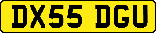 DX55DGU