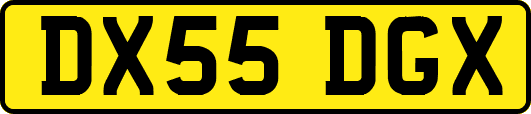 DX55DGX