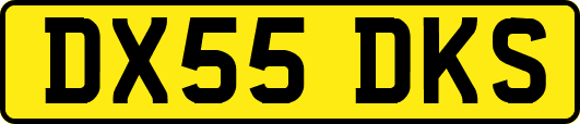 DX55DKS