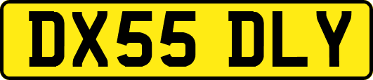 DX55DLY