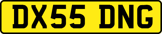 DX55DNG