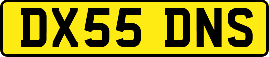 DX55DNS