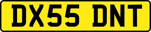 DX55DNT