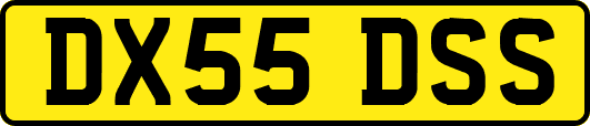 DX55DSS