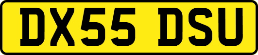 DX55DSU