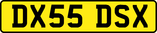 DX55DSX