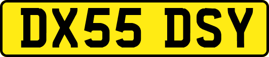 DX55DSY
