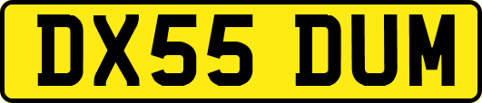 DX55DUM