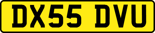 DX55DVU