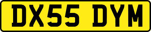 DX55DYM