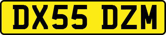 DX55DZM