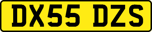 DX55DZS