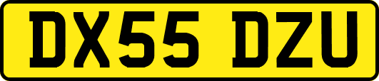 DX55DZU