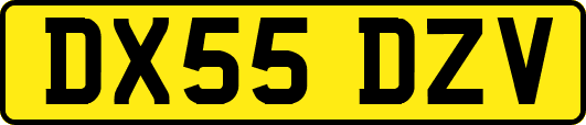 DX55DZV