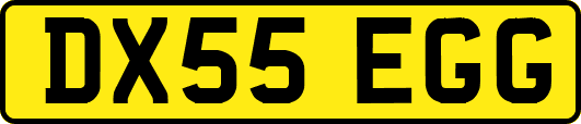 DX55EGG