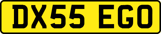 DX55EGO