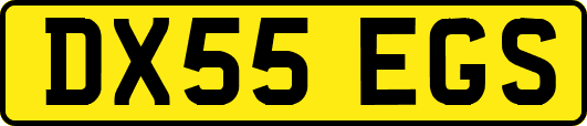 DX55EGS