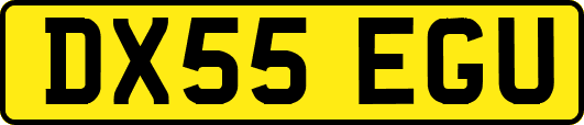 DX55EGU