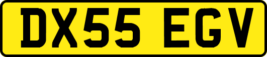 DX55EGV